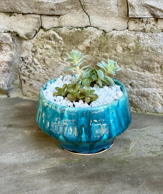 Planter Small